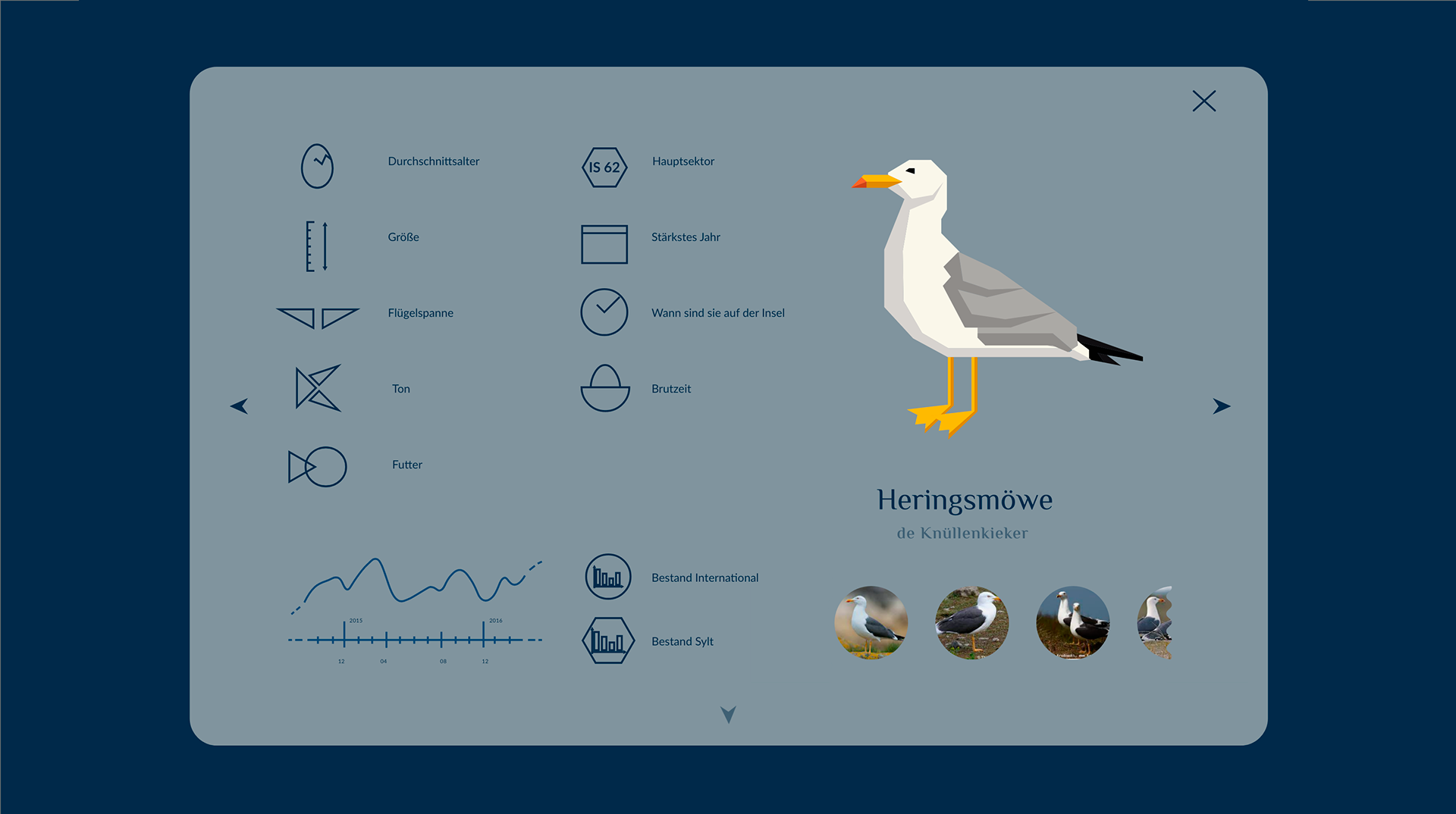 Vogel-Steckbrief · Icon
