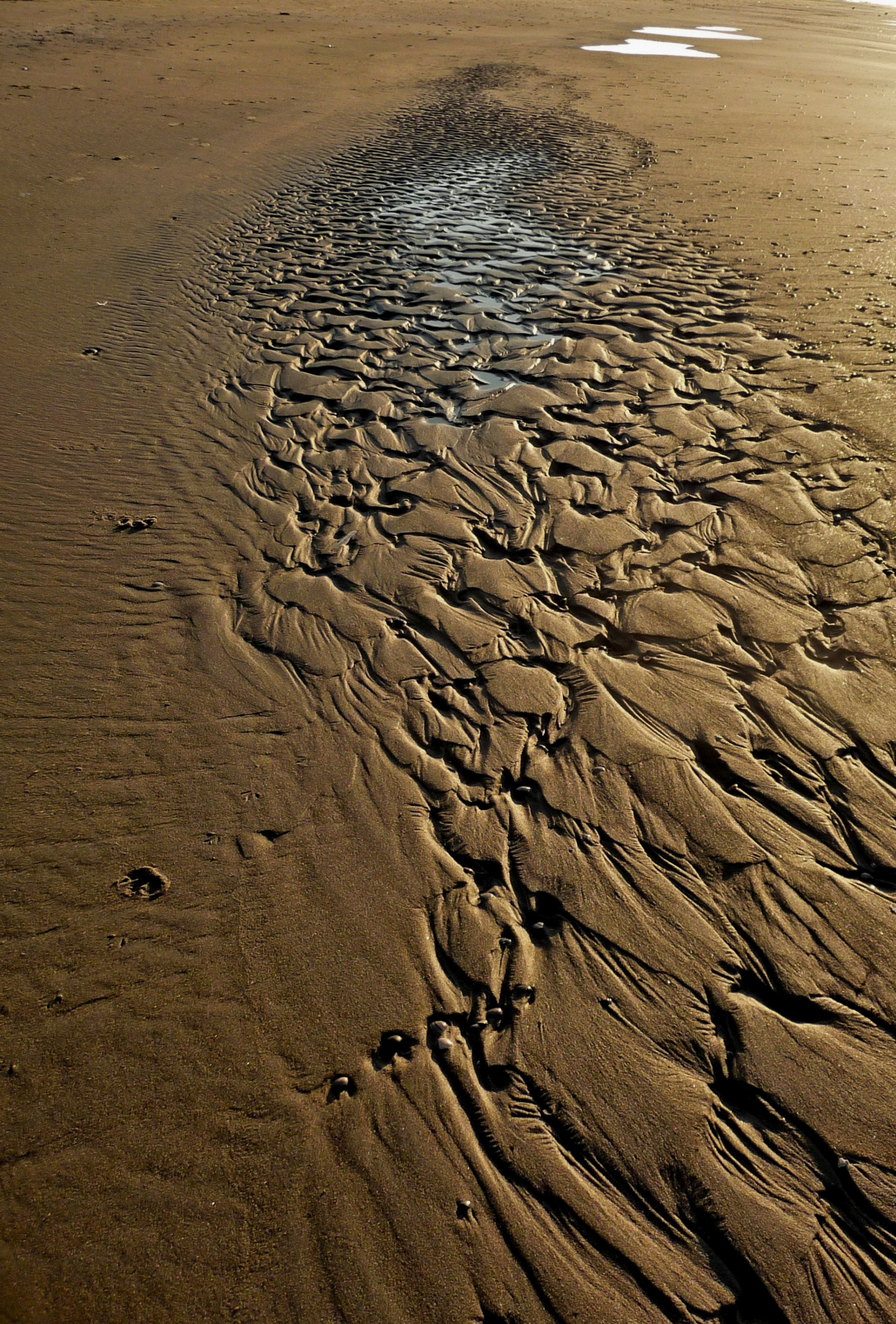 Noordzee