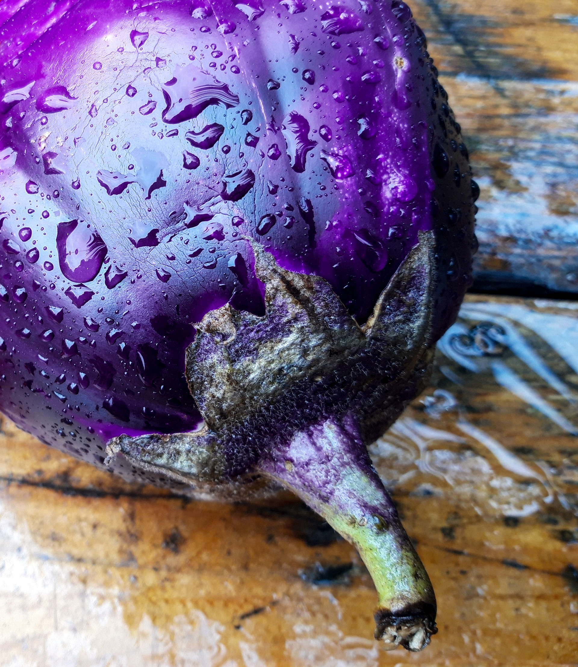 Aubergine