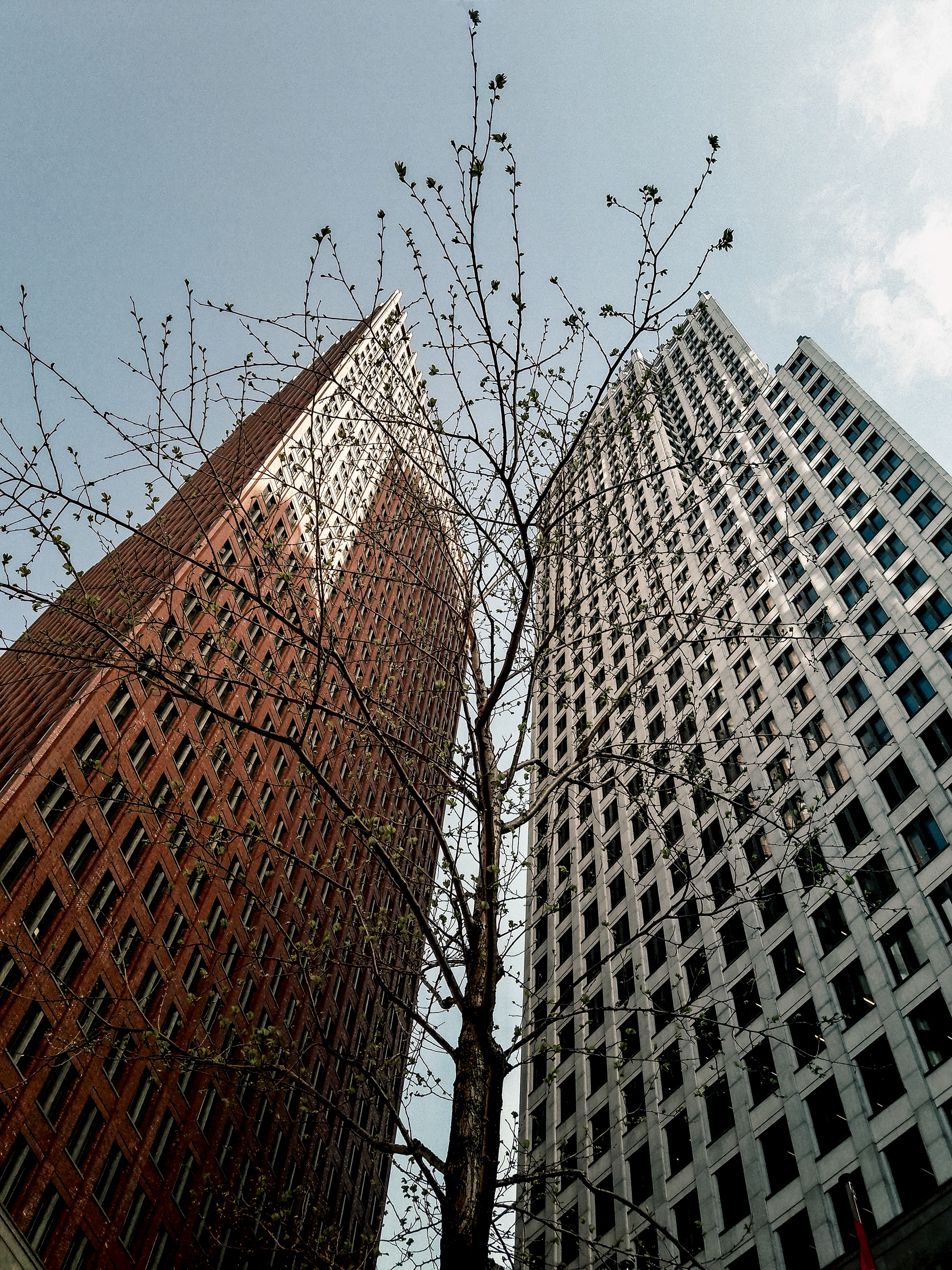 Den Haag