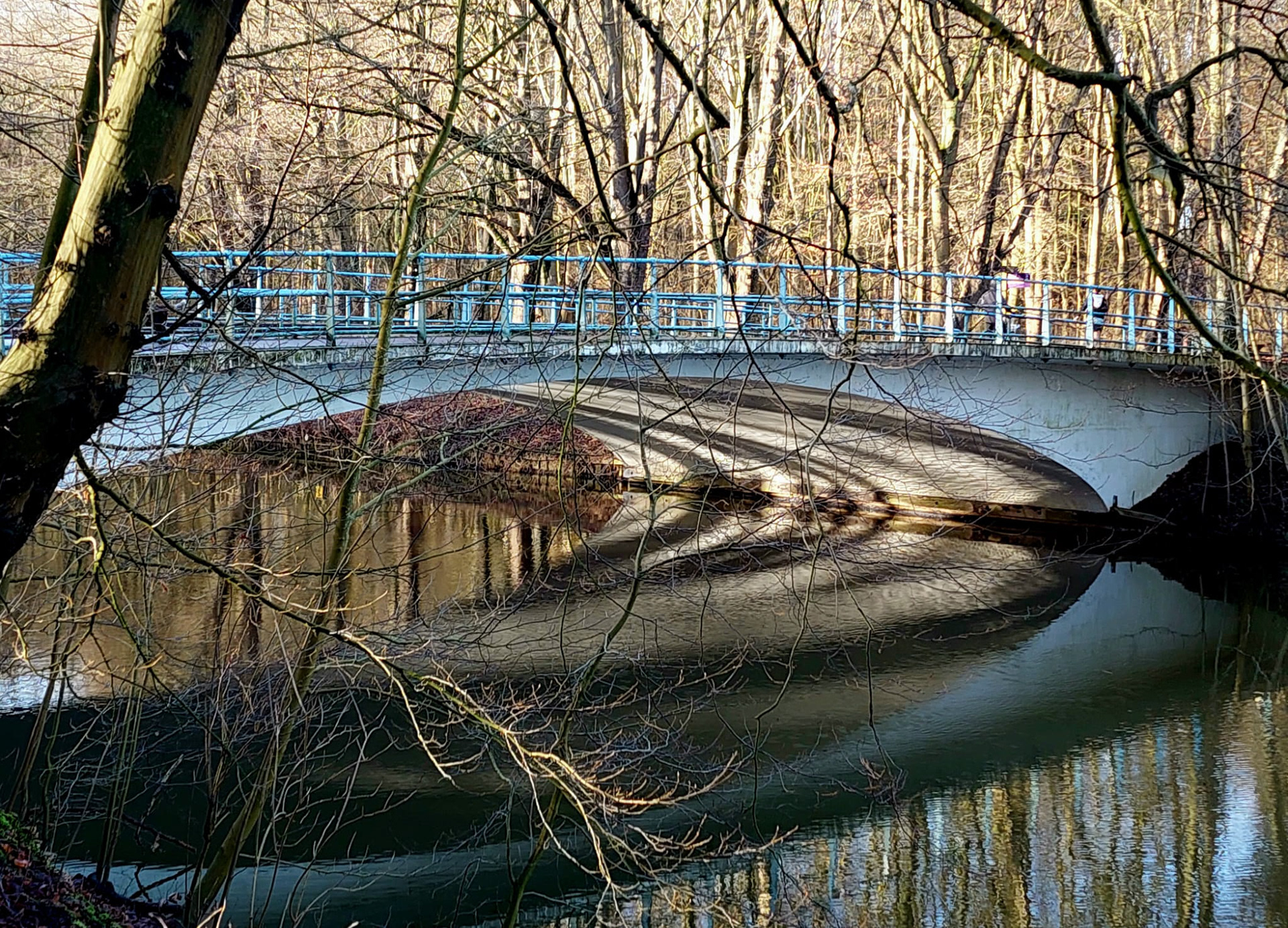 Amsterdamse bos