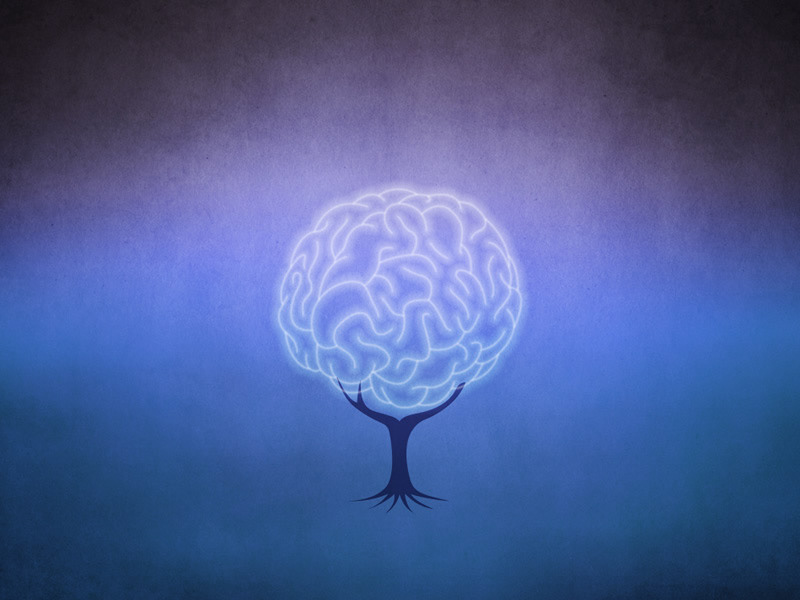 L’arbre cerveau