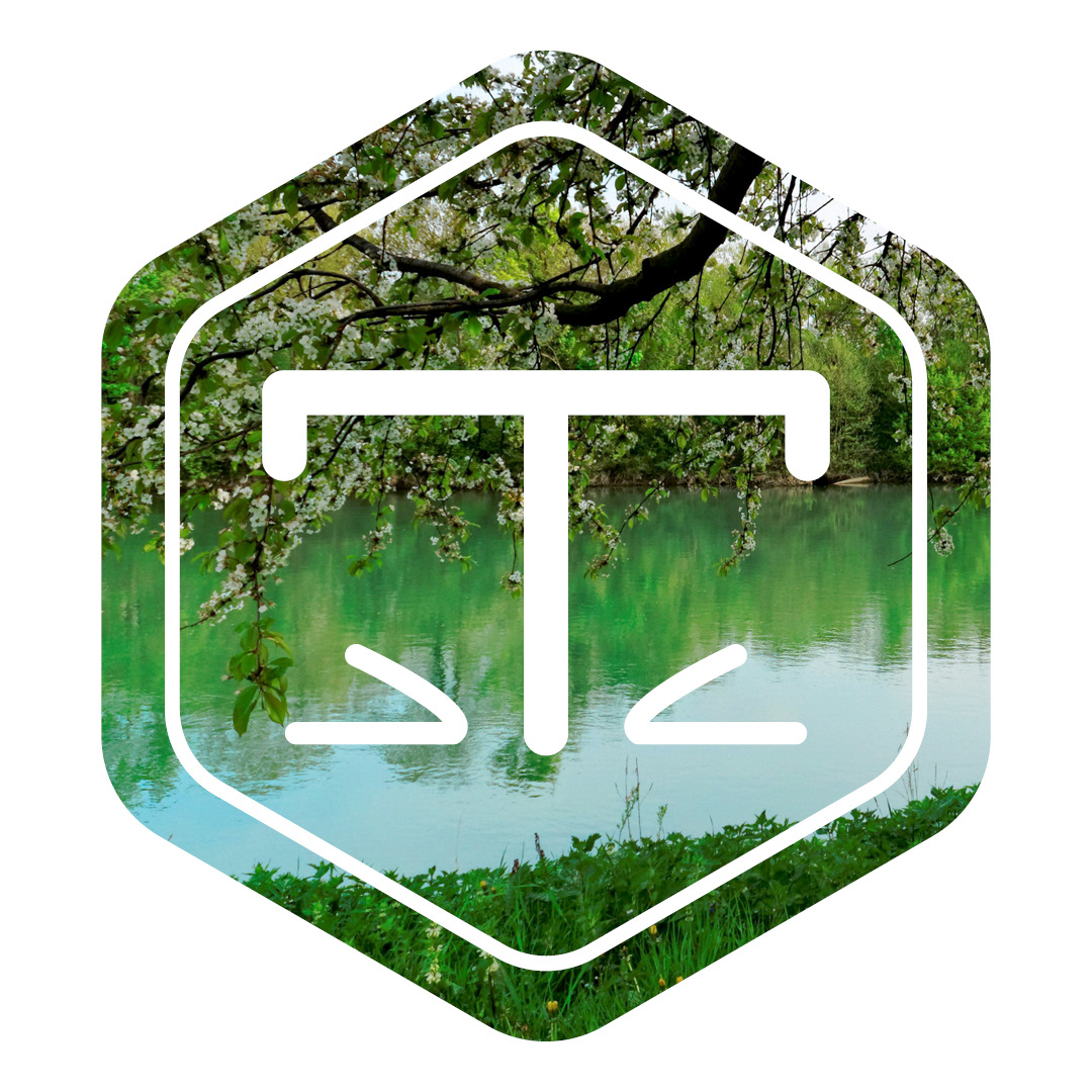 Création logo