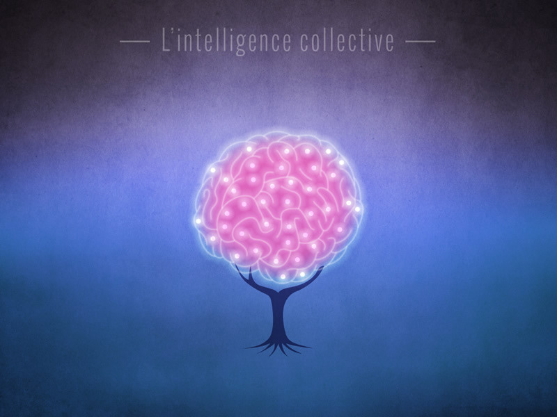 Le cerveau se connecte…