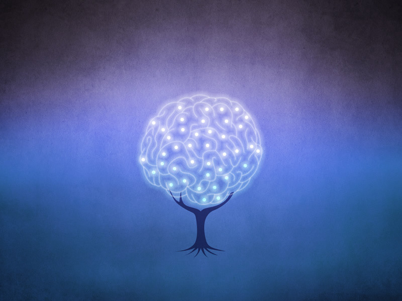 Les synapses s’allument