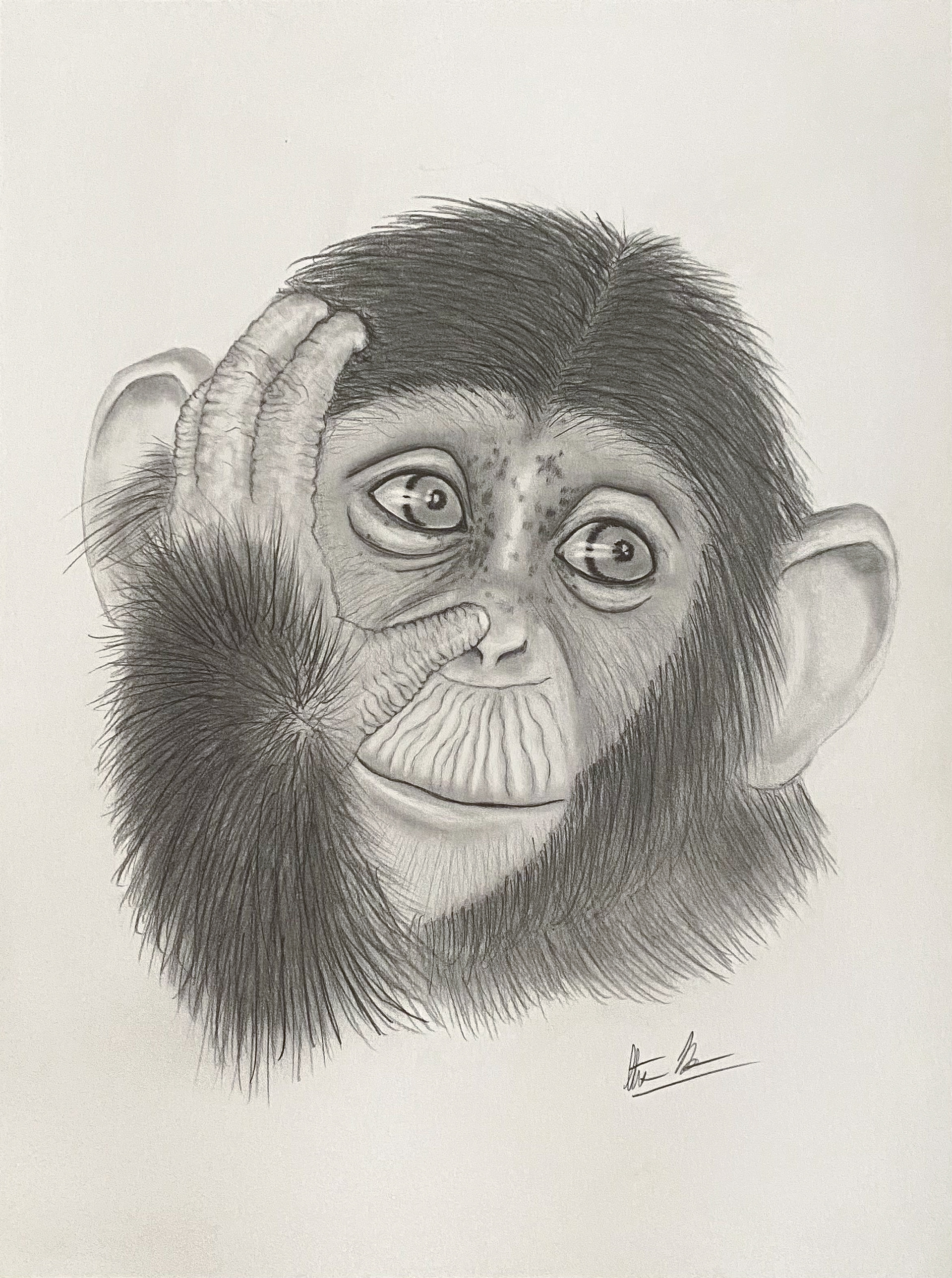 Playful Monkey