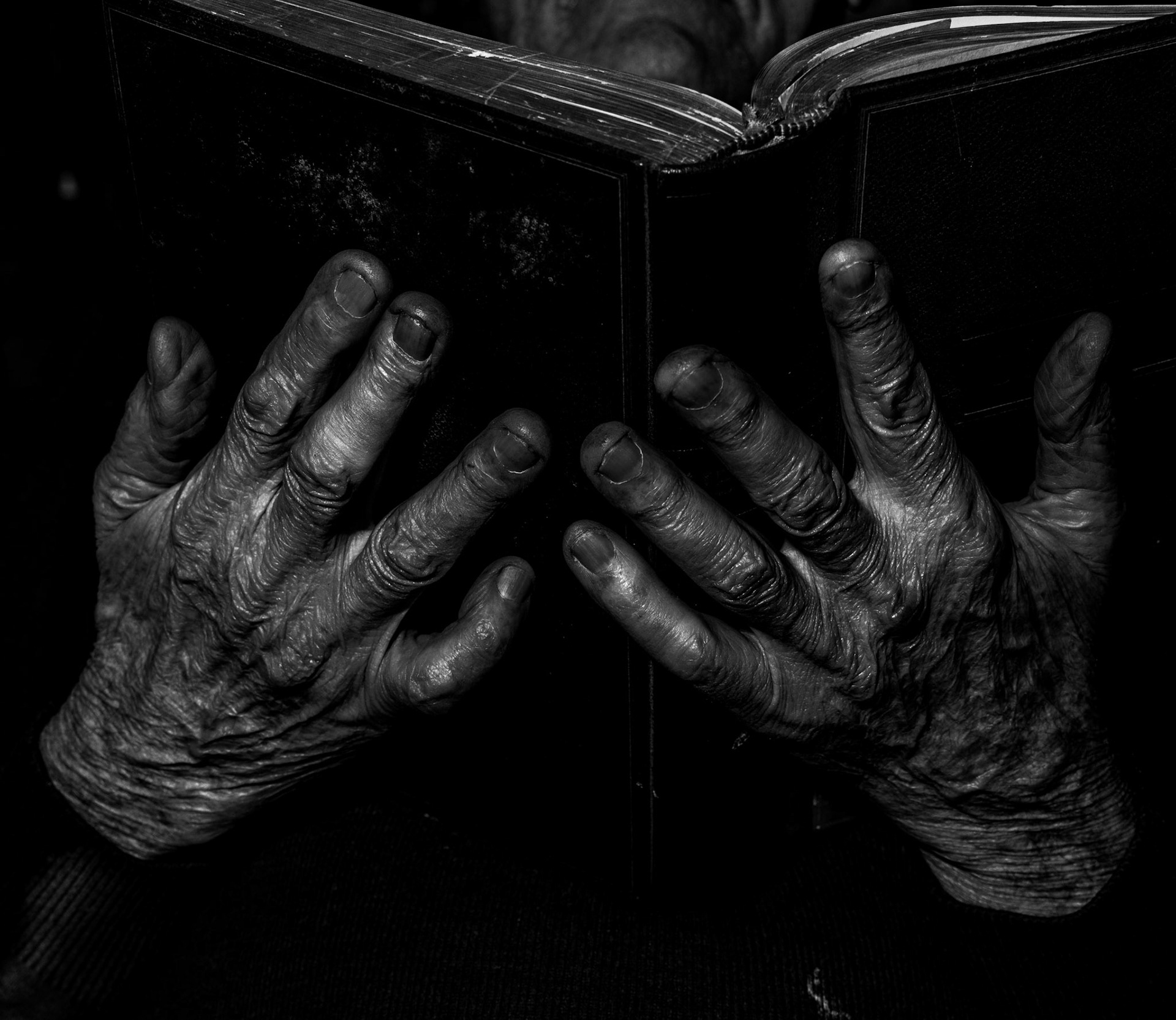 Hard Working Hands