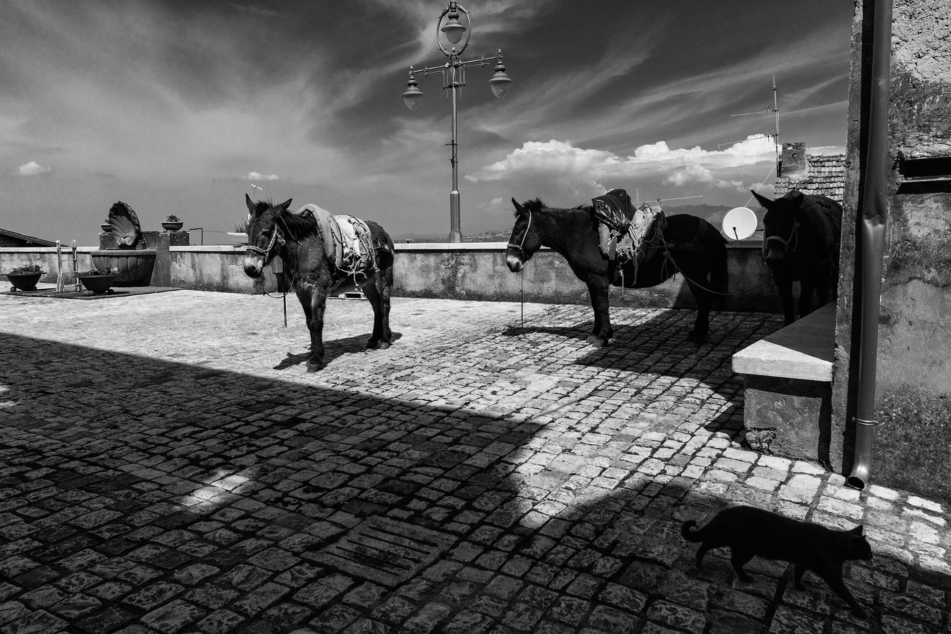 Incredibile ma, ancora oggi, l'unico mezzo per trasportare le merci in questo paese.