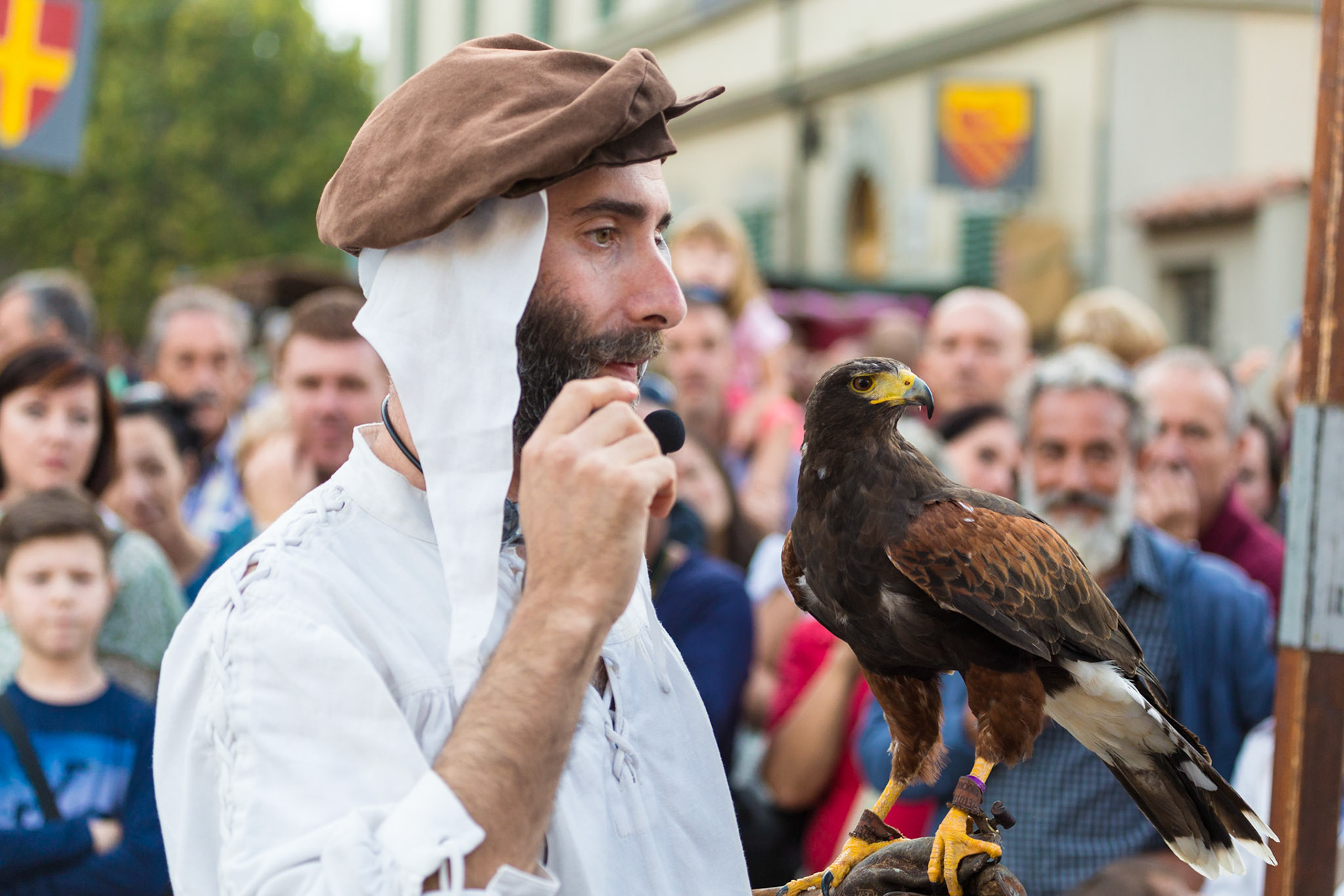 Assedio alla villa 2016