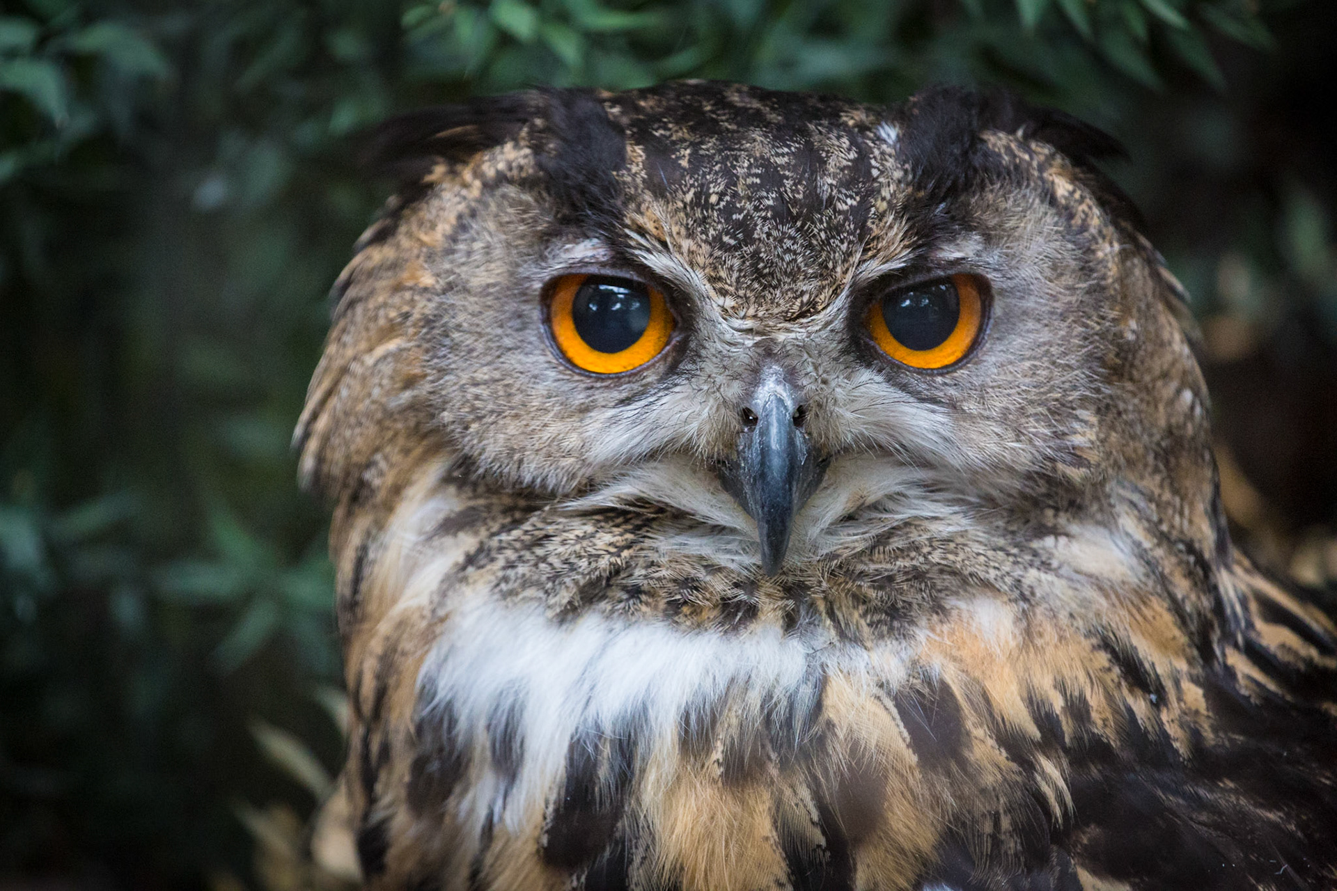 Avvicinati ancora un pò