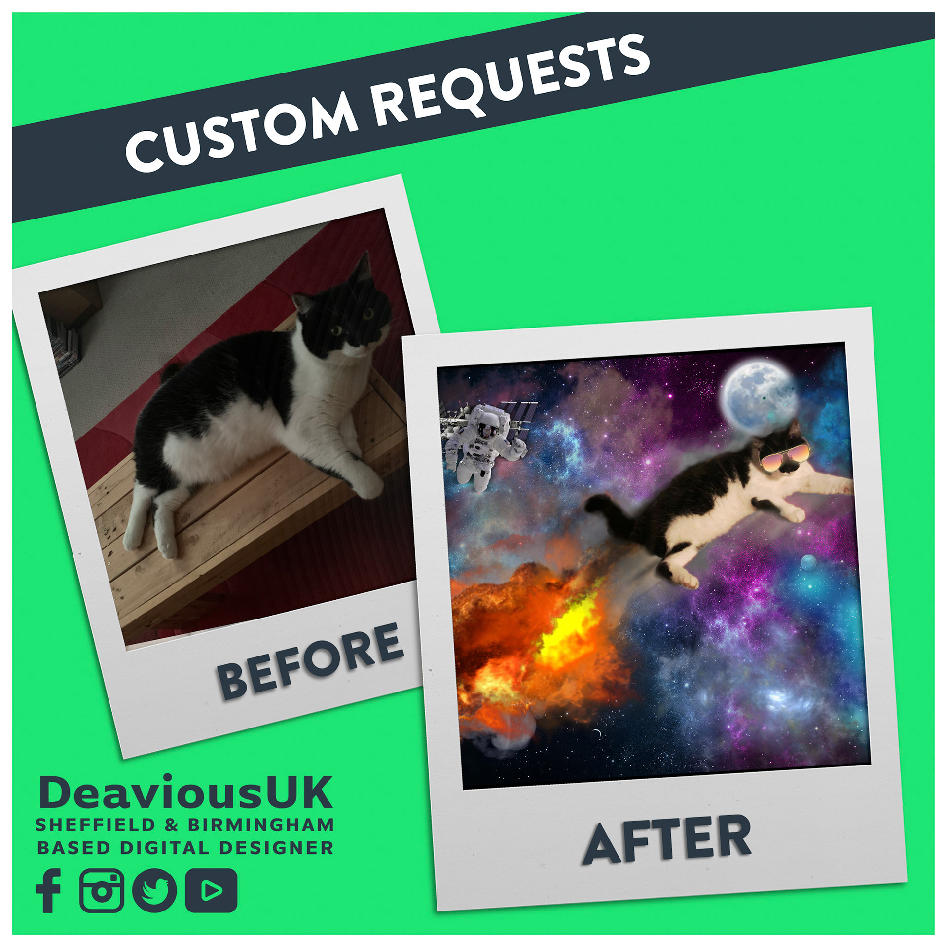 Custom Request - Cats In Space Before and After