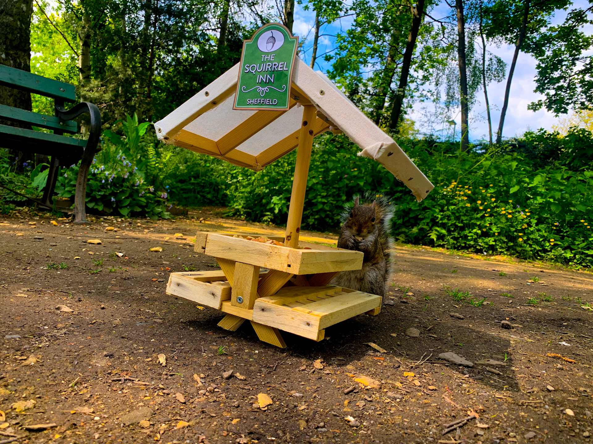The Squirrel Inn Pop Up Wildlife Pub Hillsborough Park