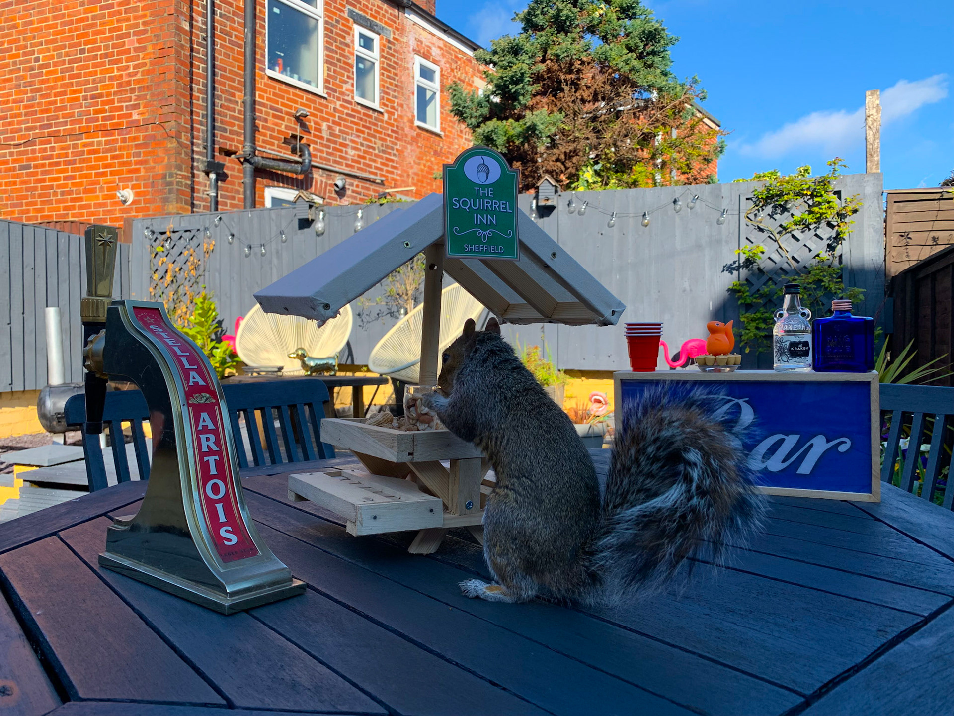 The Squirrel Inn Pop Up Wildlife Pub Garden