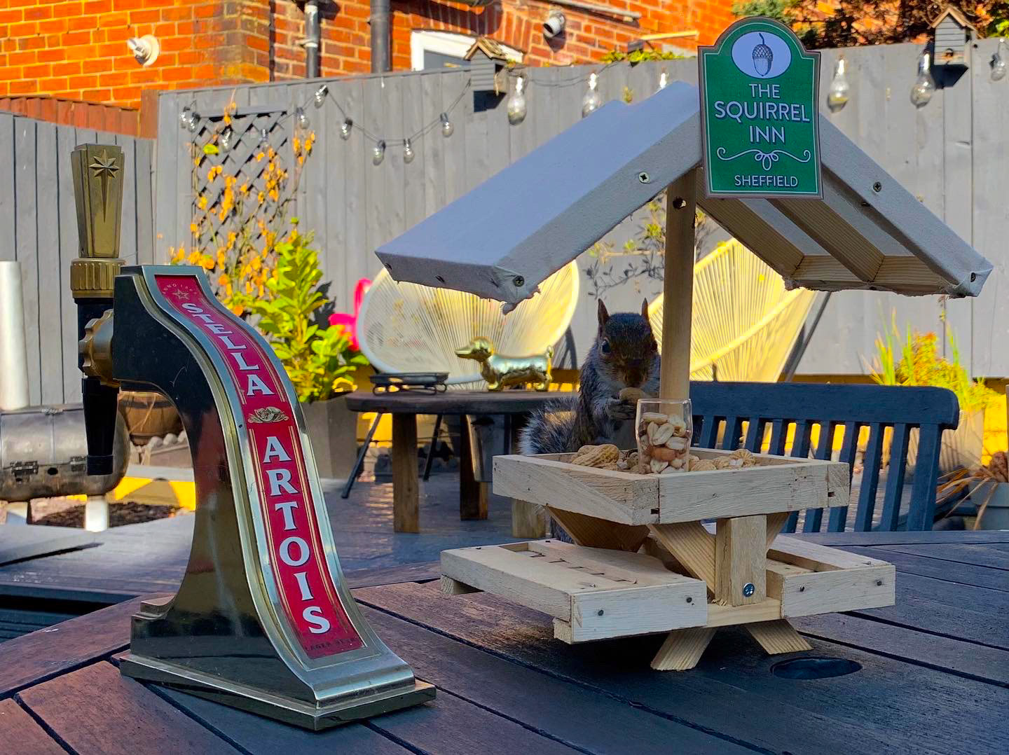 The Squirrel Inn Pop Up Wildlife Pub Garden