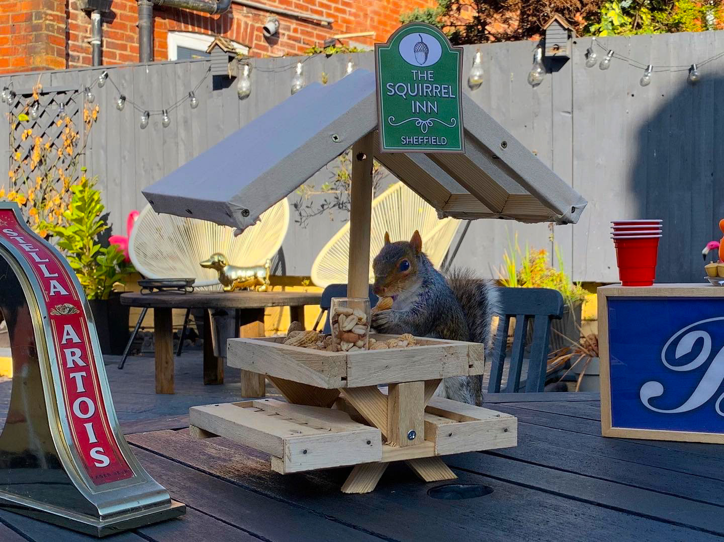 The Squirrel Inn Pop Up Wildlife Pub Garden