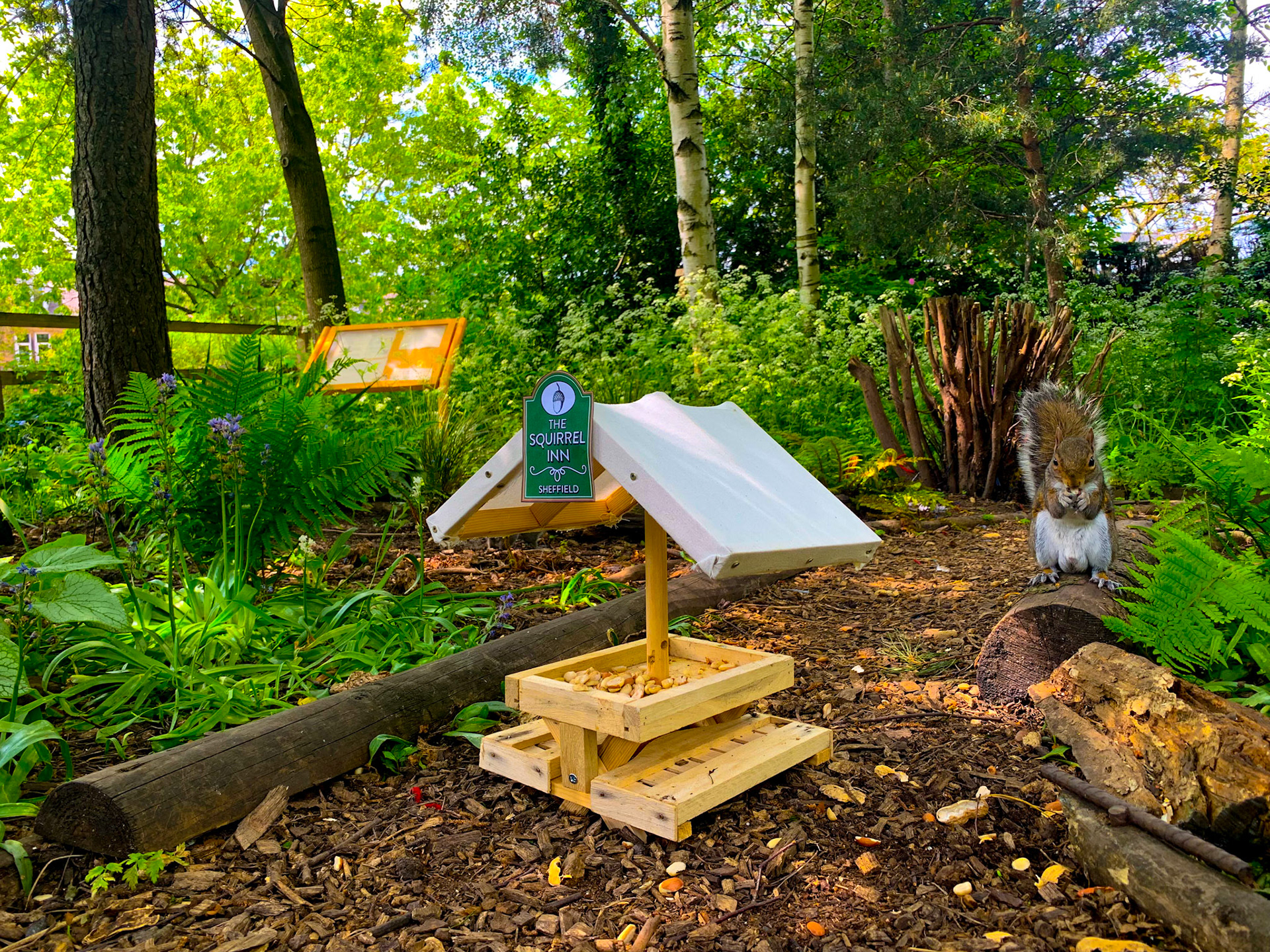 The Squirrel Inn Pop Up Wildlife Pub Hillsborough Park