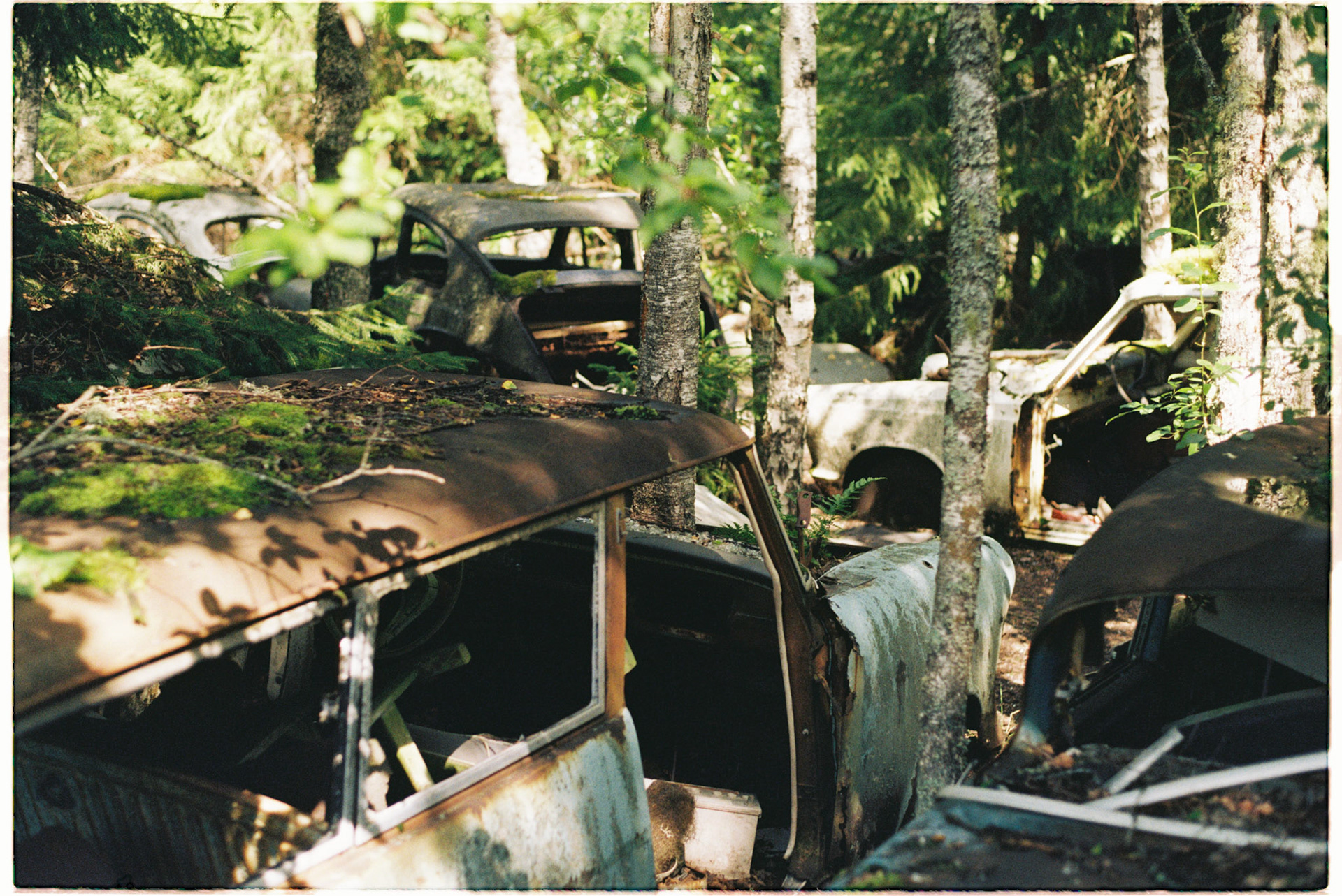 Pentax MX første film juli 2025