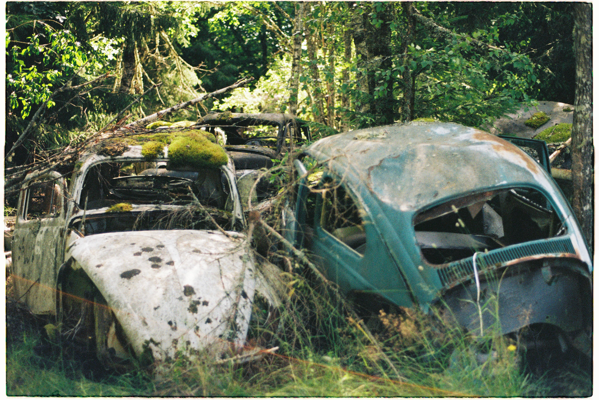 Pentax MX første film juli 2025