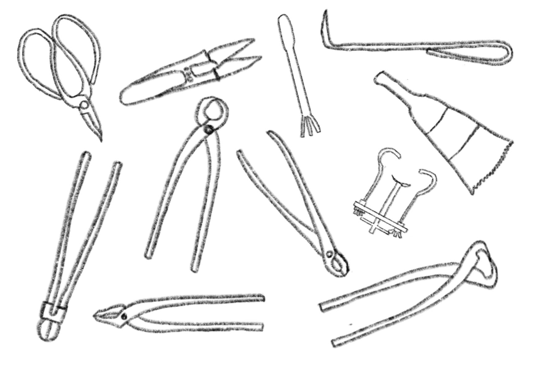 Bonsai Postcard Design 12