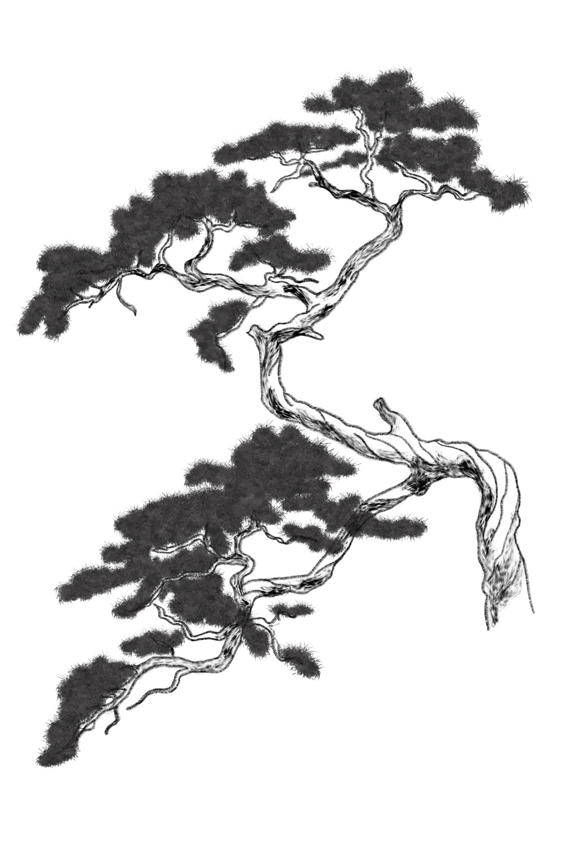 Bonsai Postcard Design 6