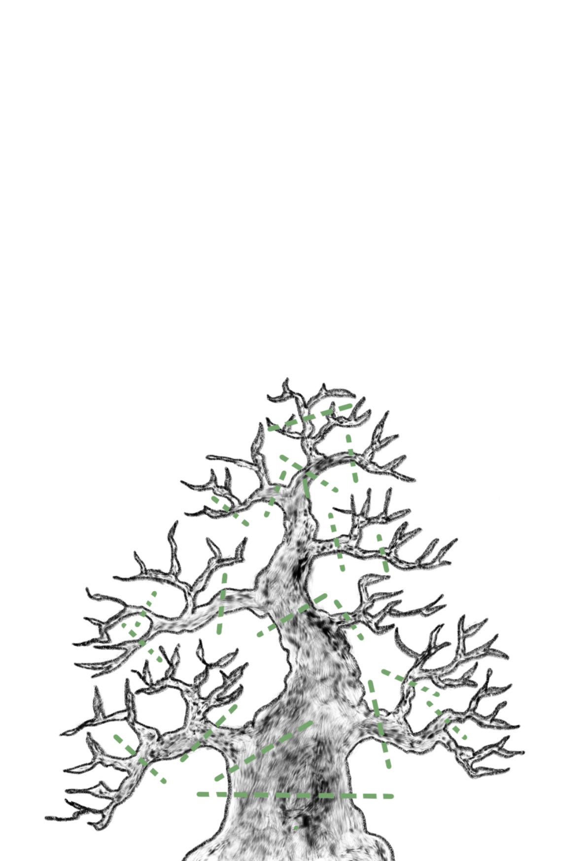 Bonsai Postcard Design 10