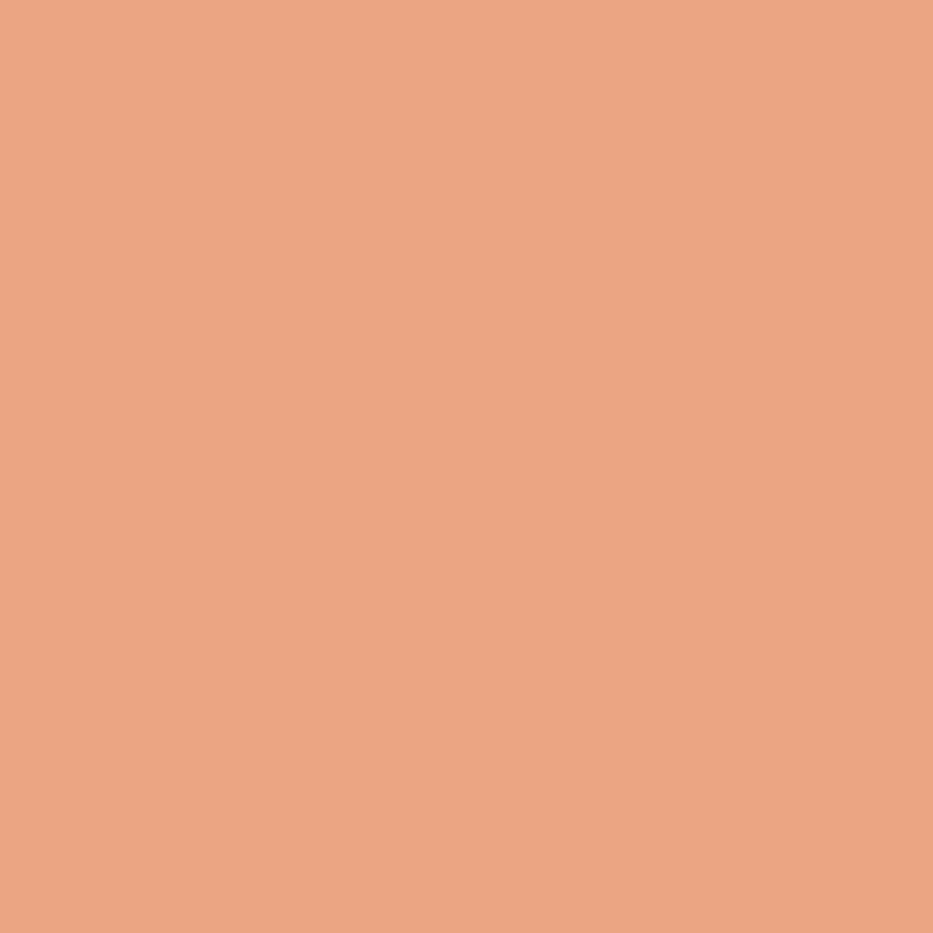 Aura Interior Paint in Succulent Peach 68 | Benjamin Moore | Dye Kitchen & Employee Breakroom