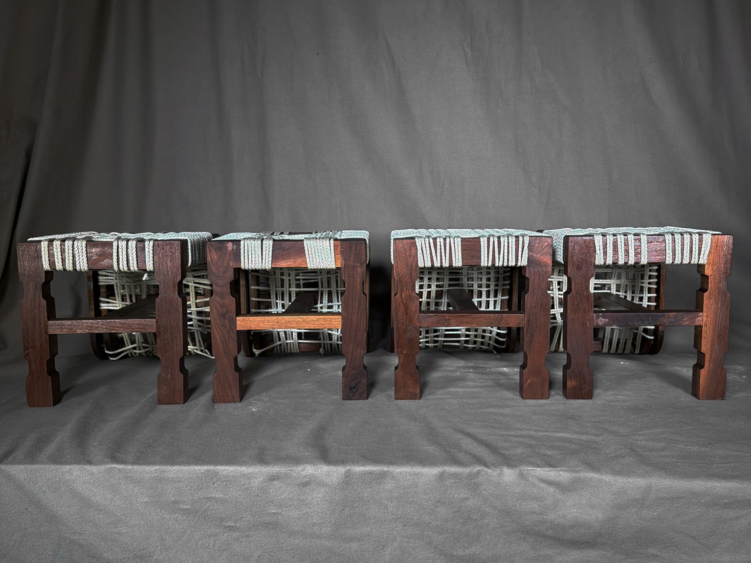 Image 3 | View of the Columnar Leg