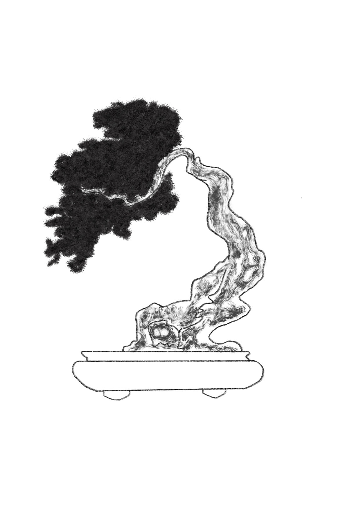 Bonsai Postcard Design 4
