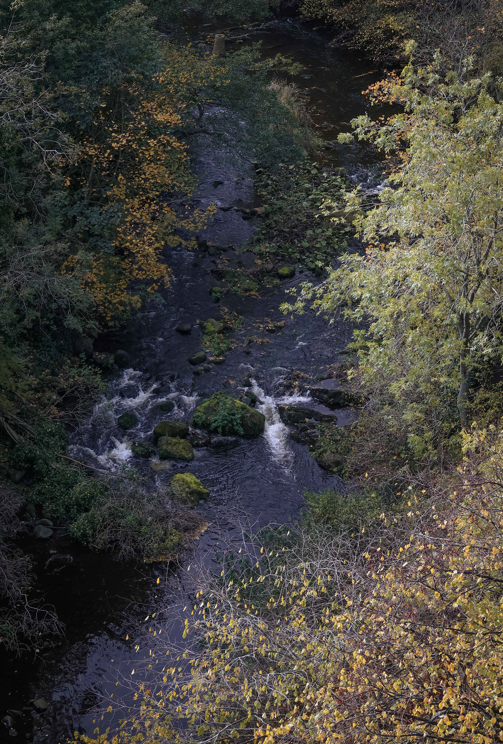 water of leith, edinburgh
