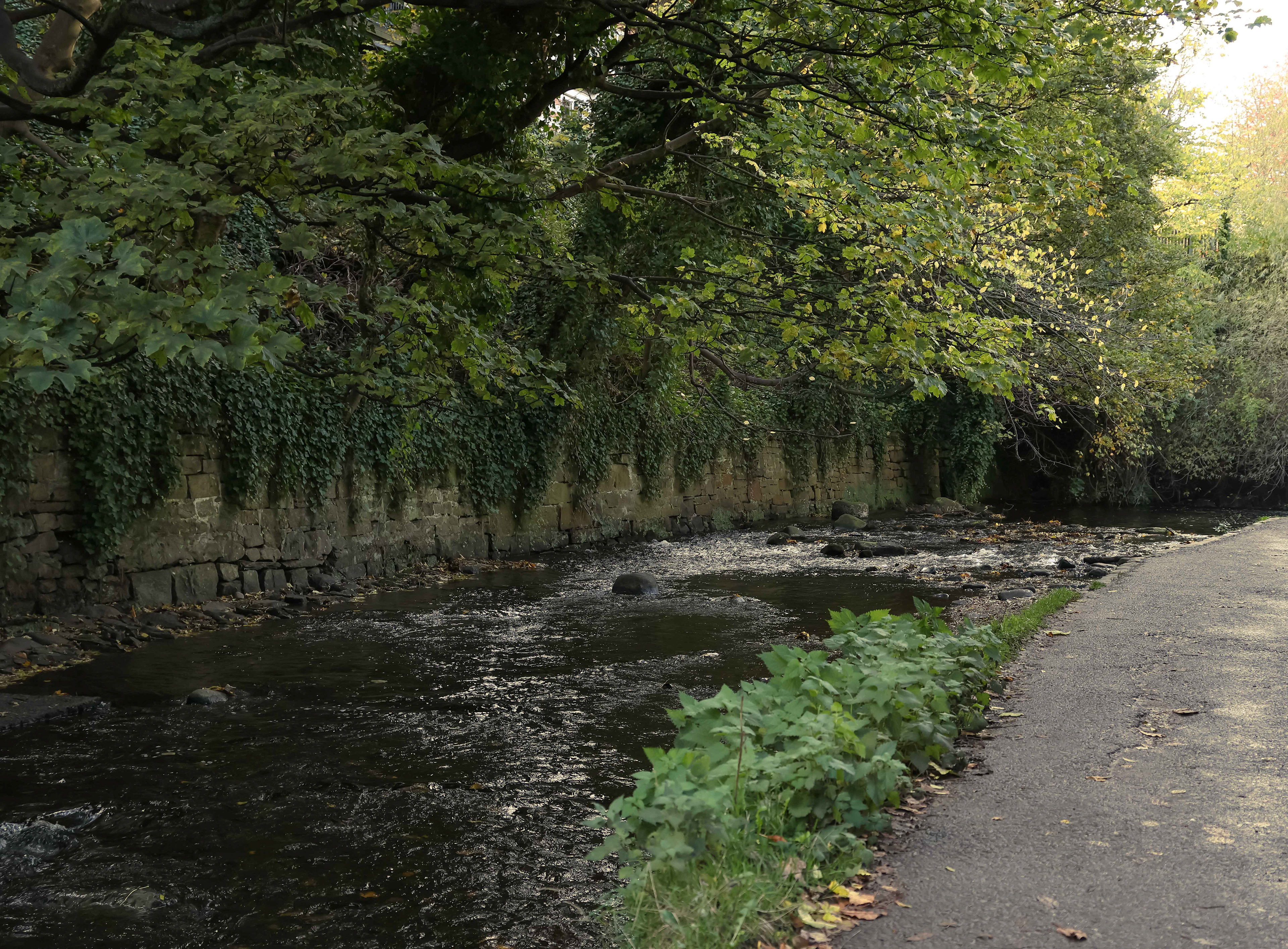 water of leith, edinburgh