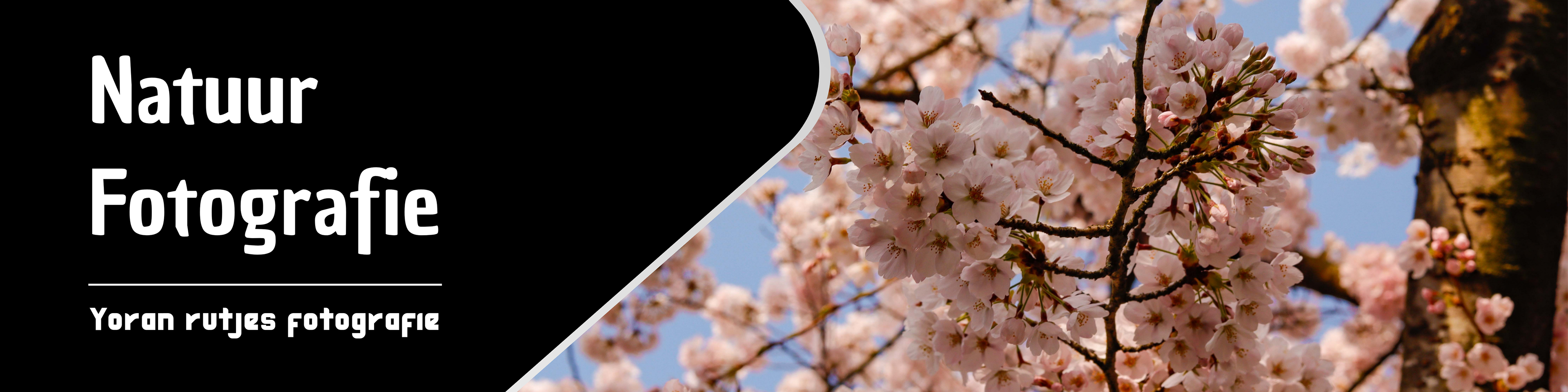 Dit is de banner van de fotografie pagina 'Natuur fotografie' van Shotsbyrutjes Yoran Rutjes fotografie