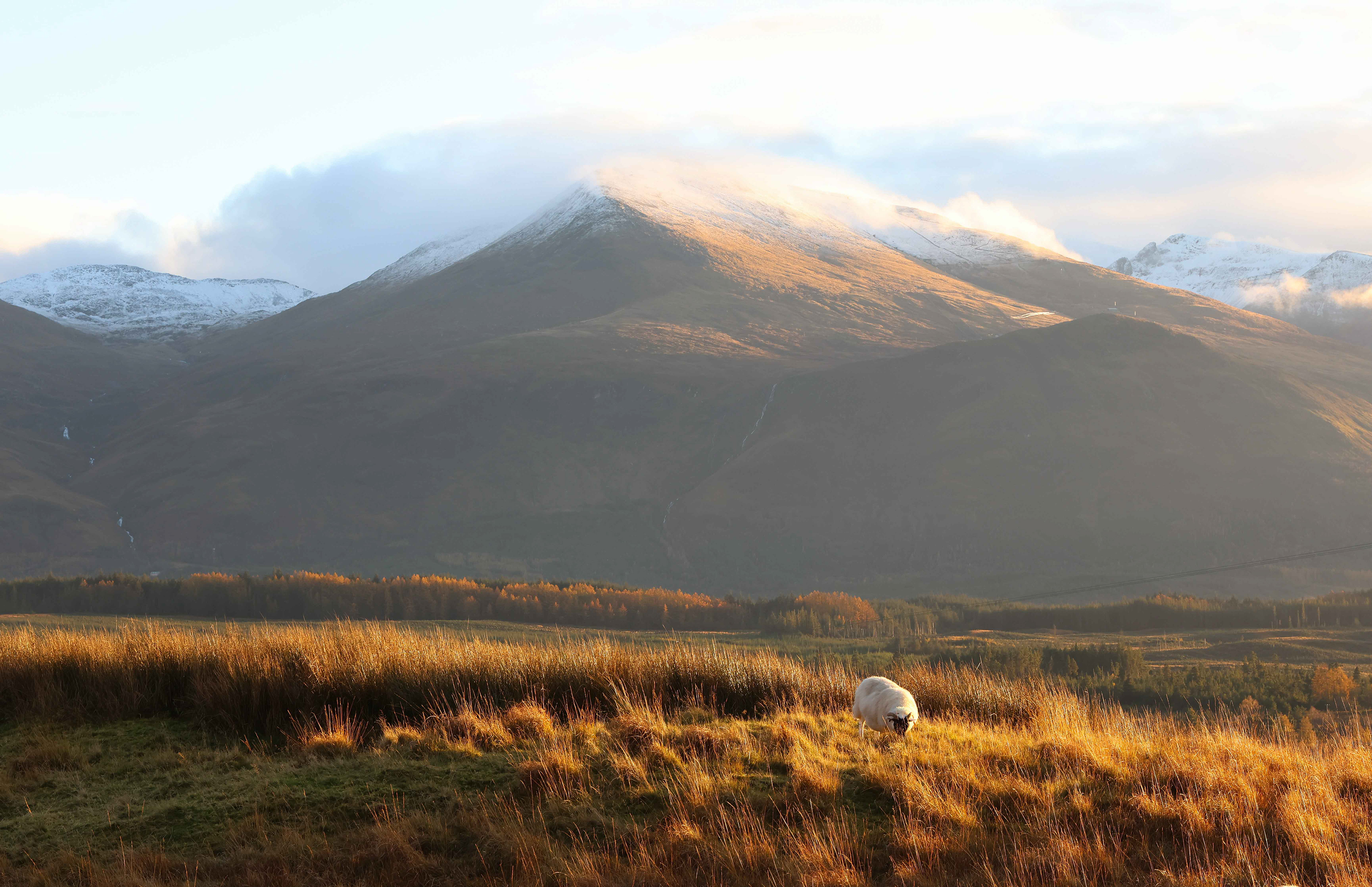 Typical view of the highlands, scotland