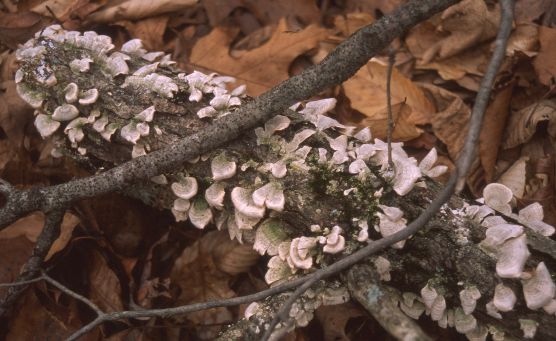 © 2022 addy4all. All rights reserved.