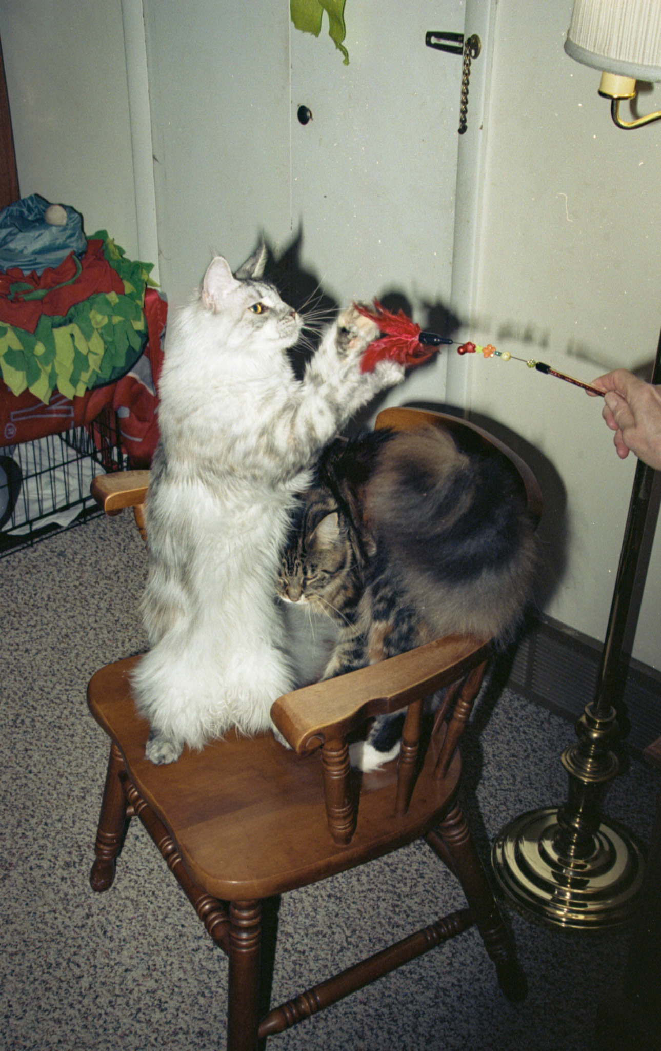 © 2022 addy4all. All rights reserved.