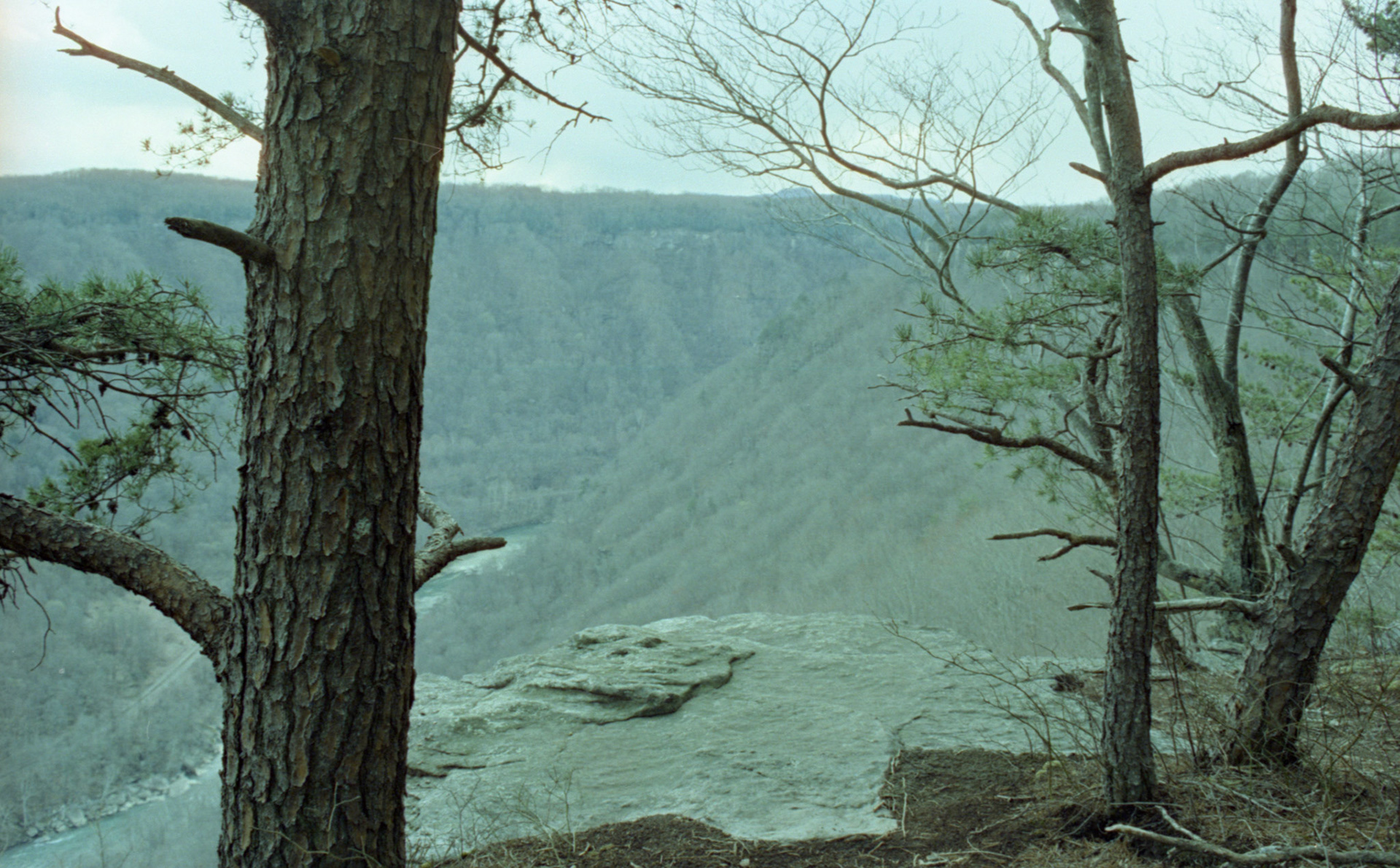 © 2023 addy4all. All rights reserved.