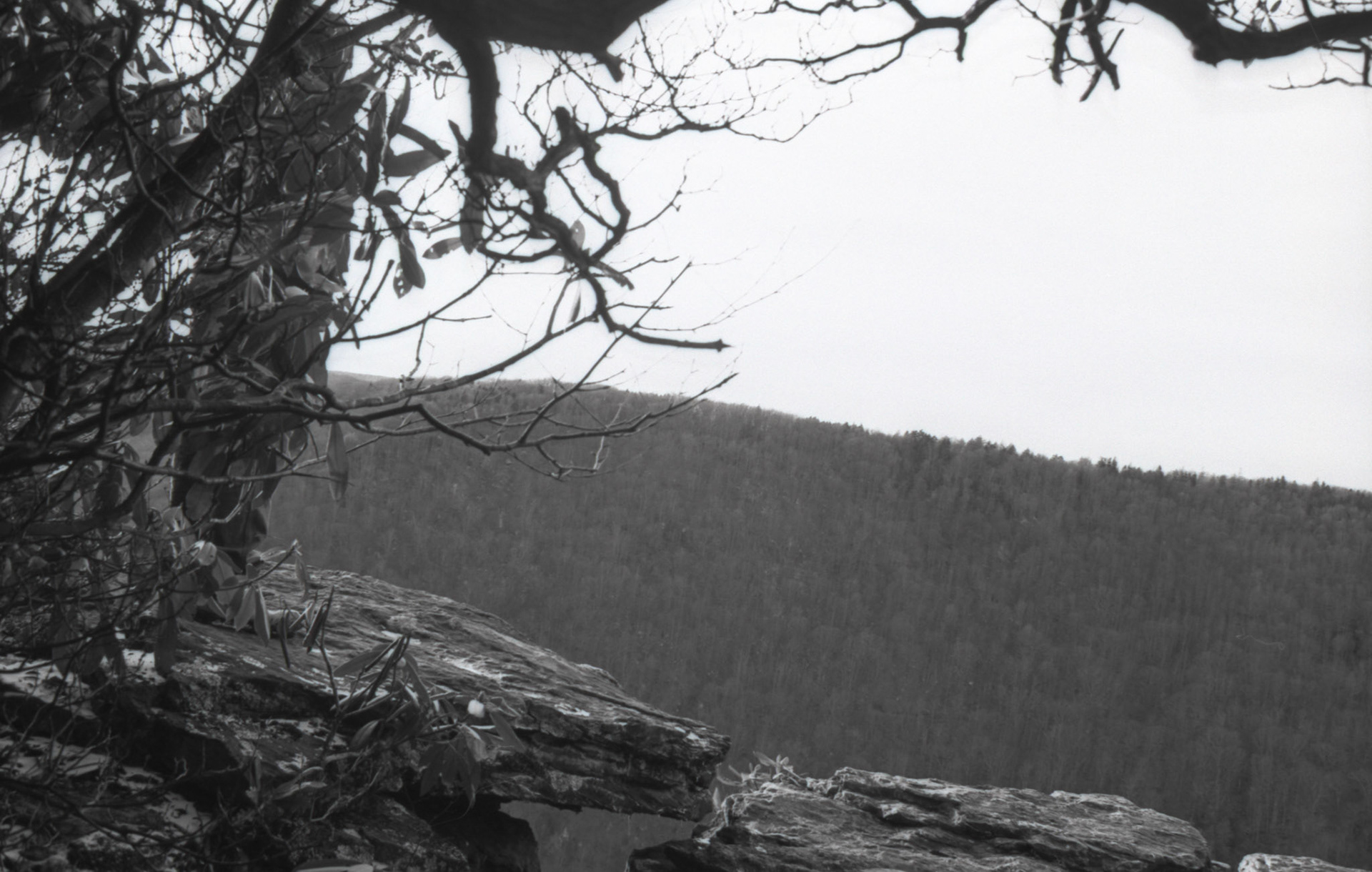 © 2022 addy4all. All rights reserved.  FPP Dracula 64 ISO, HC-110 Dilution B 8min