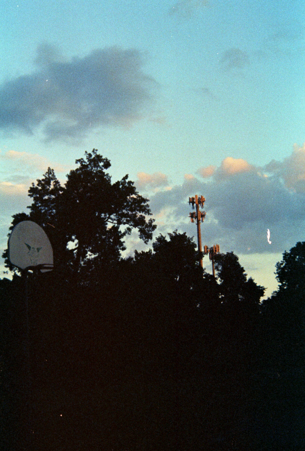 Nikon FG on Cinestill 50D