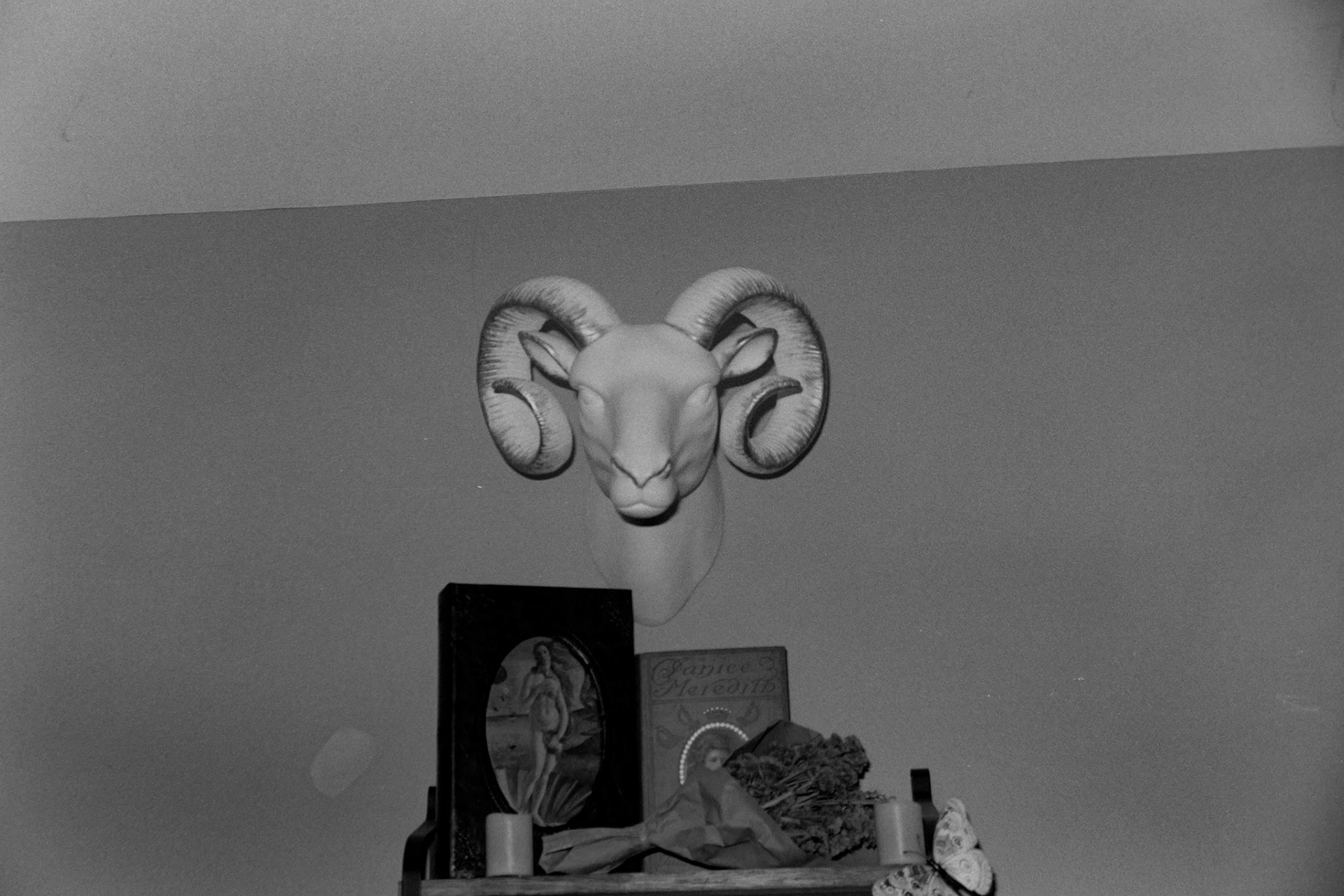 © 2022 addy4all. All rights reserved.