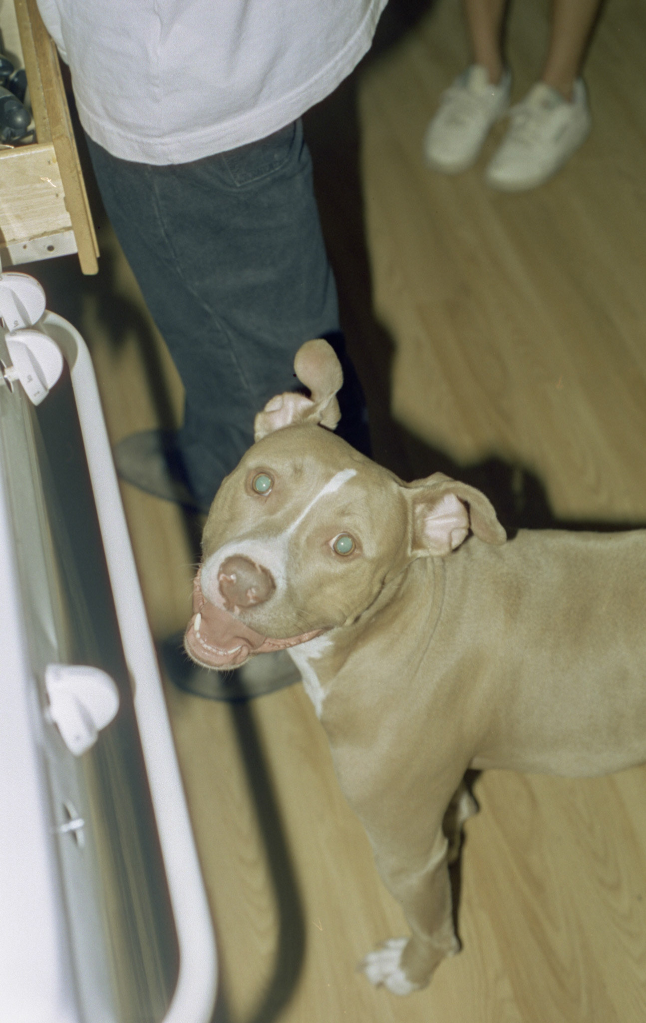 © 2022 addy4all. All rights reserved.