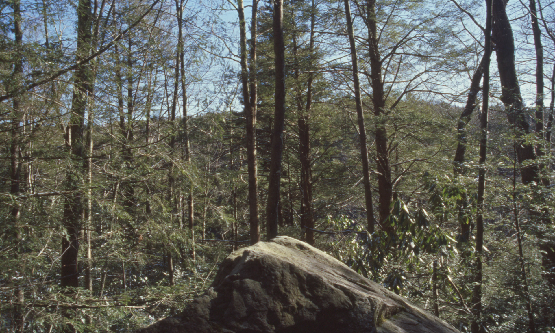 © 2022 addy4all. All rights reserved.