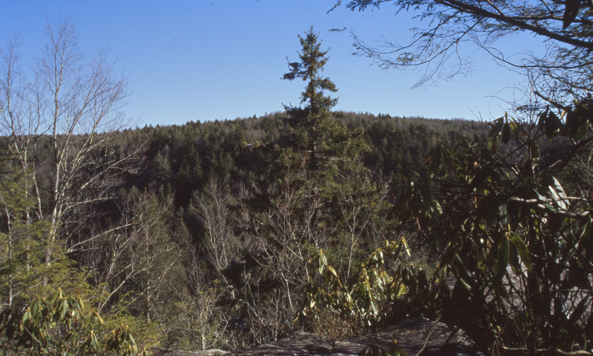 © 2022 addy4all. All rights reserved.