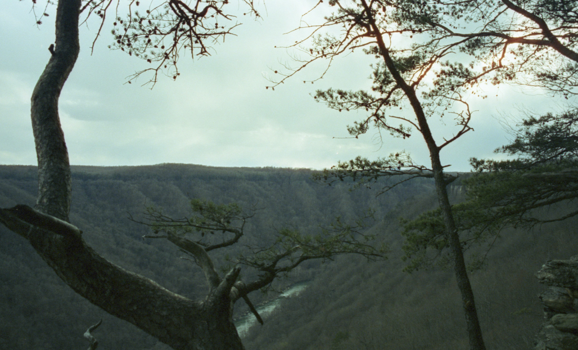 © 2023 addy4all. All rights reserved.