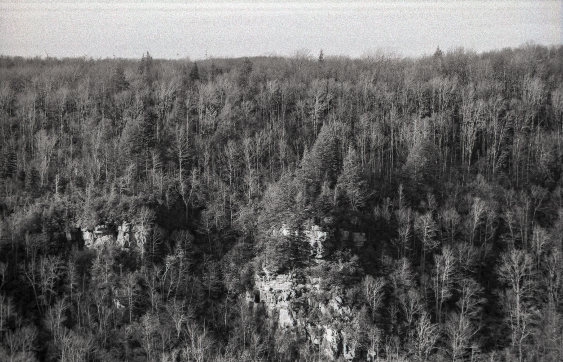 © 2022 addy4all. All rights reserved.  FPP Dracula 64 ISO, HC-110 Dilution B 8min