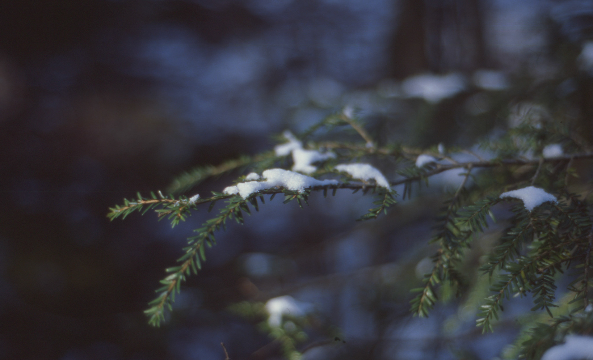 © 2022 addy4all. All rights reserved.