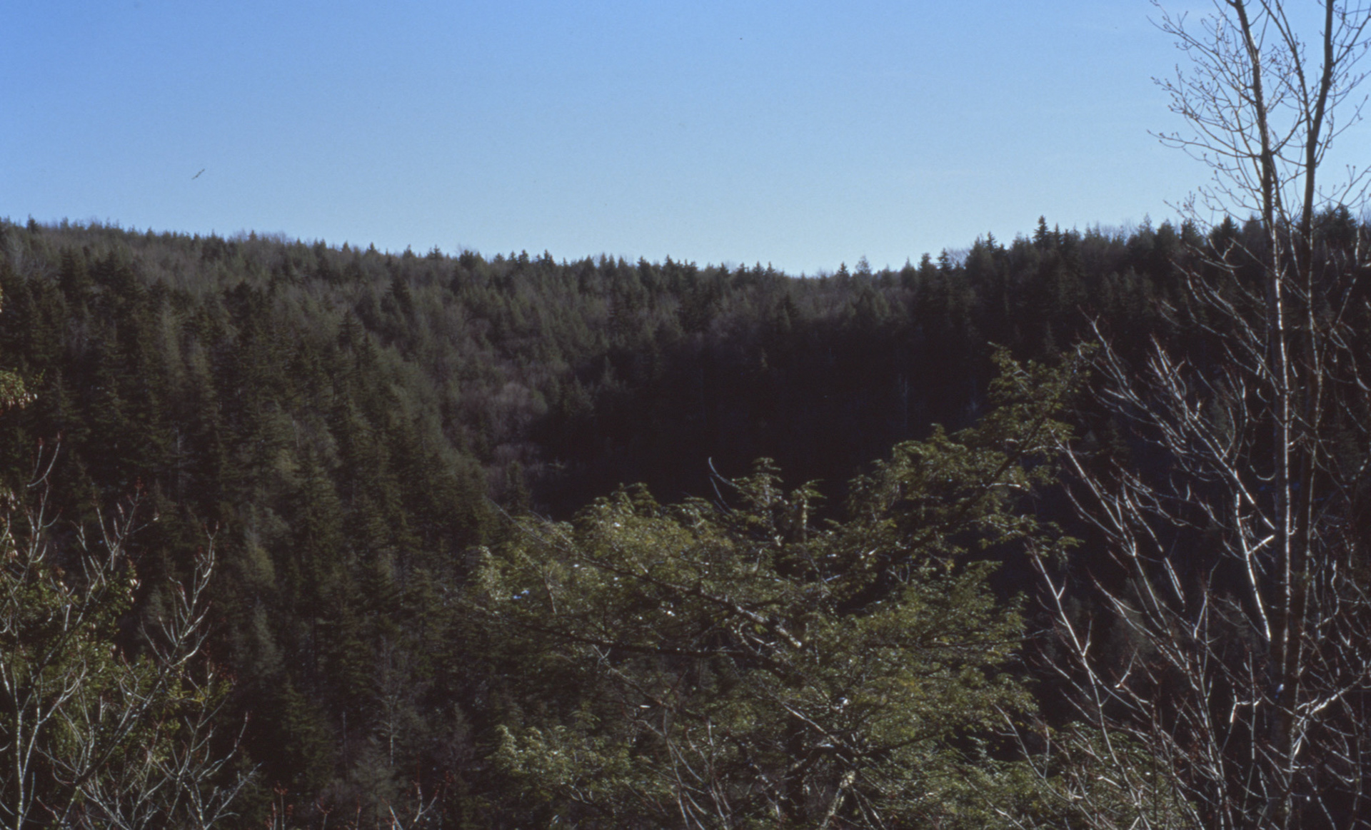 © 2022 addy4all. All rights reserved.