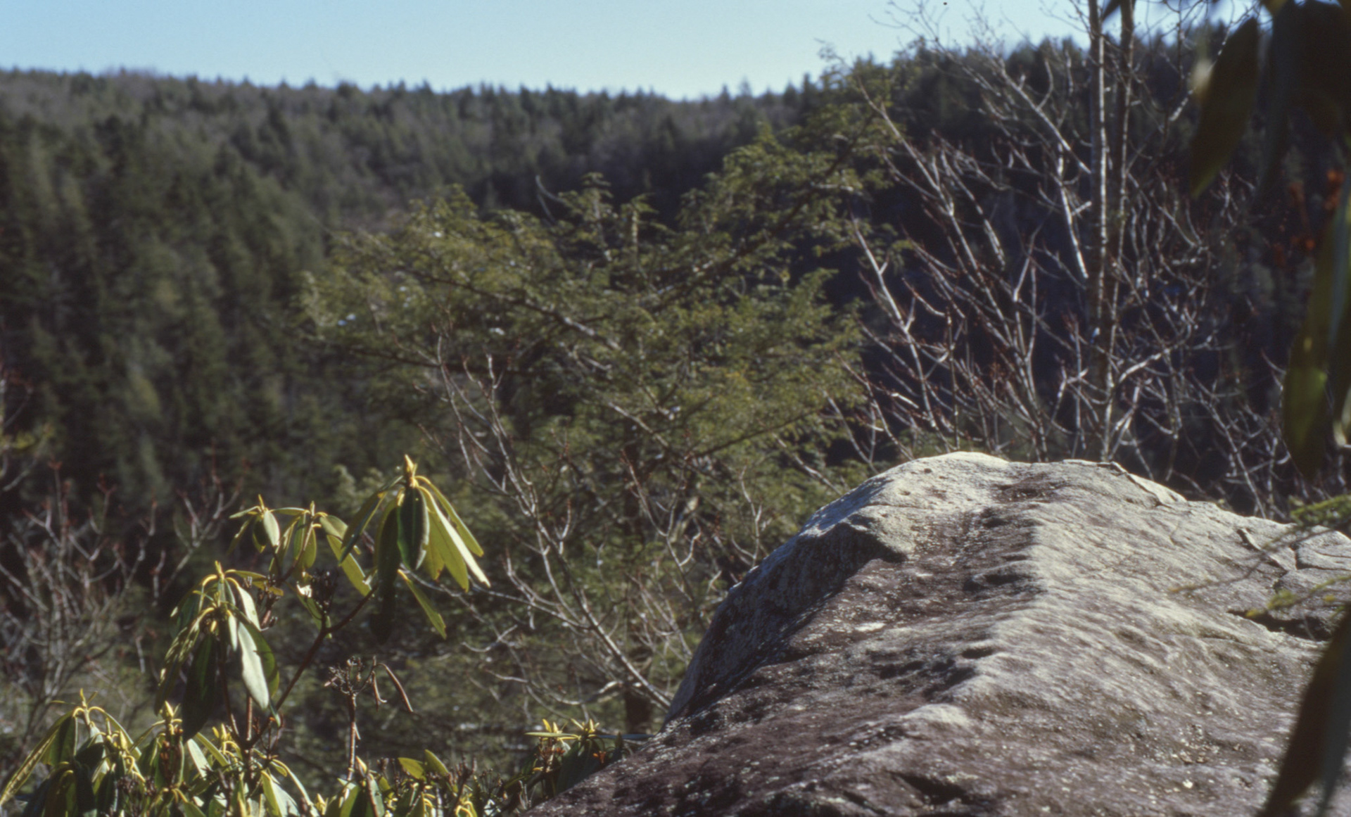 © 2022 addy4all. All rights reserved.