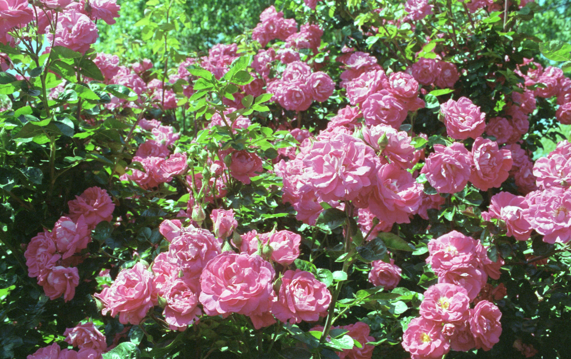 © 2022 addy4all. All rights reserved.