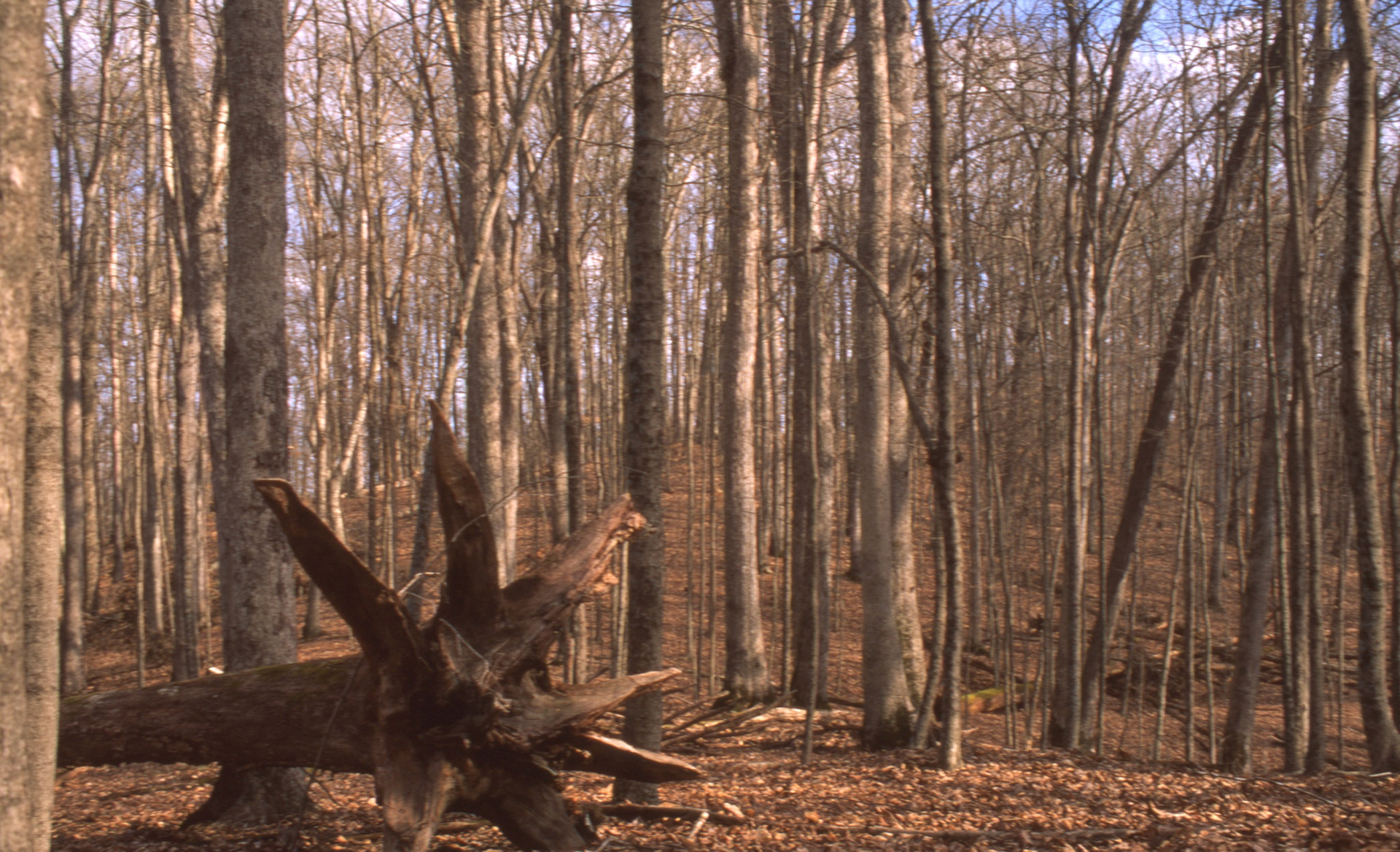 © 2022 addy4all. All rights reserved.