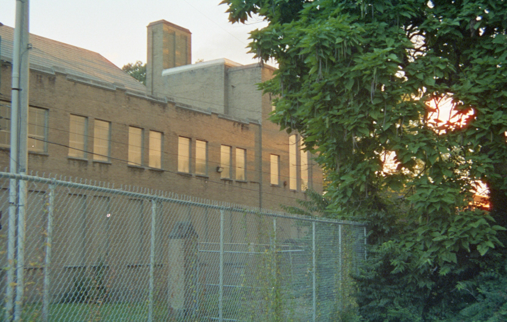 Nikon FG on Cinestill 50D