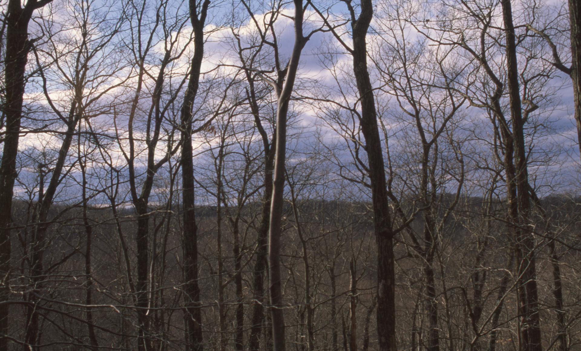 © 2022 addy4all. All rights reserved.